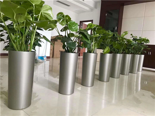 植物租賃利潤怎么樣？